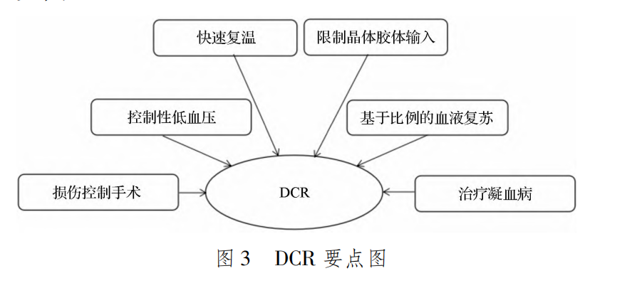 DCR三大支柱协同工作示意图